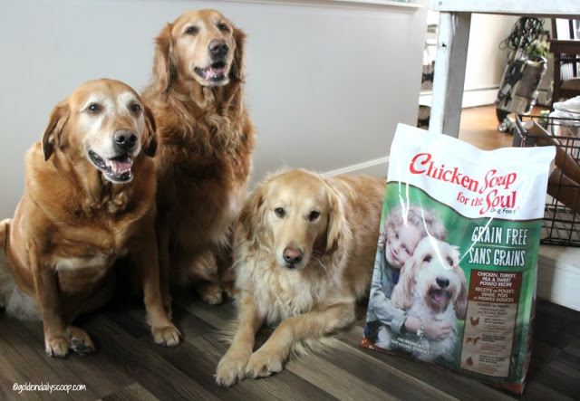  Chicken Soup For The Soul Dog Food & Treats Giveaway