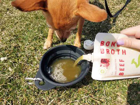 Primalvore Bone Broth Giveaway